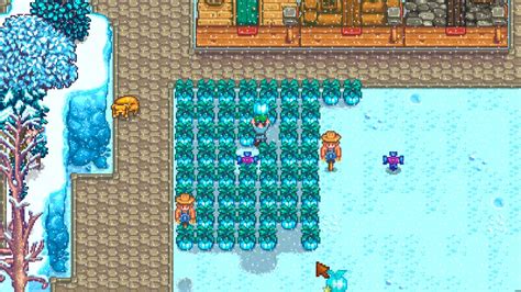 powder melon stardew|stardew valley powdermelon guide.